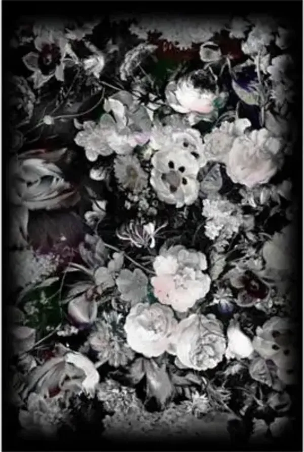 Eden Queen B&W Area Rug