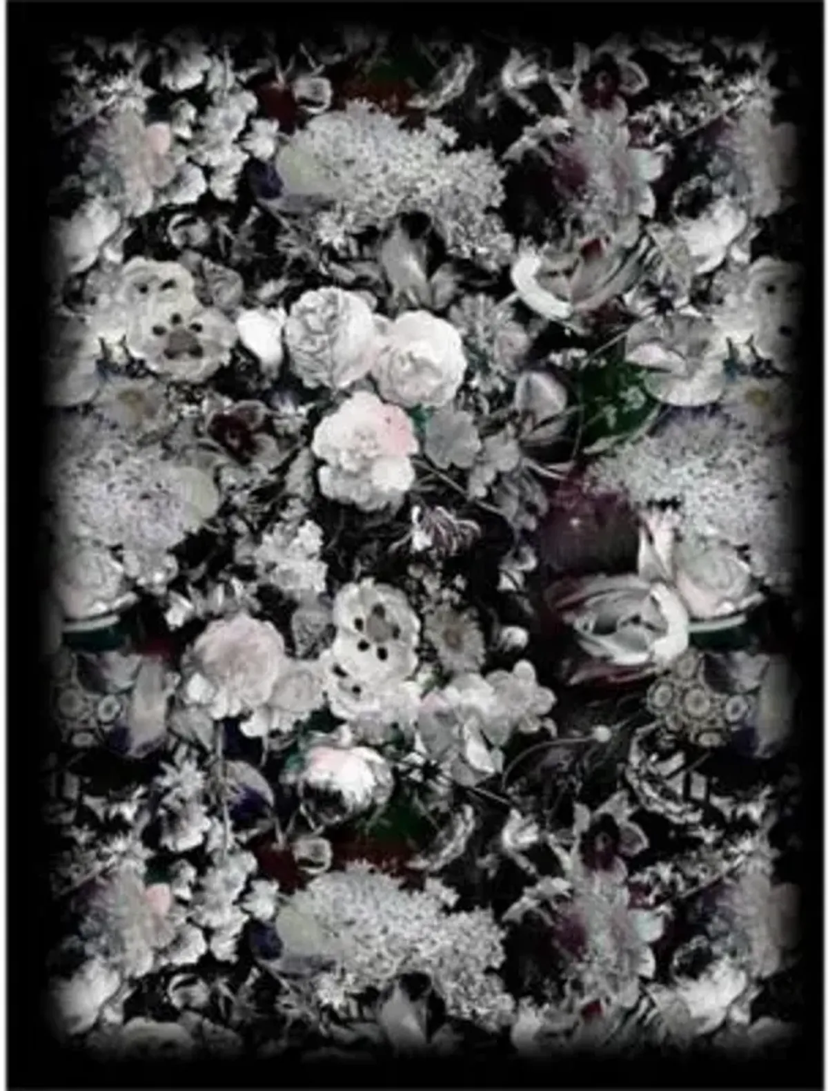 Eden Queen B&W Area Rug