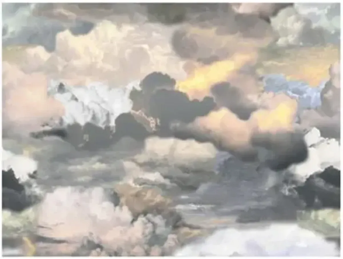 Walking On Clouds Area Rug