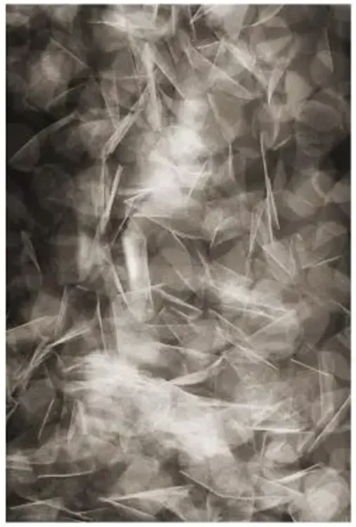 Falling Petals Area Rug