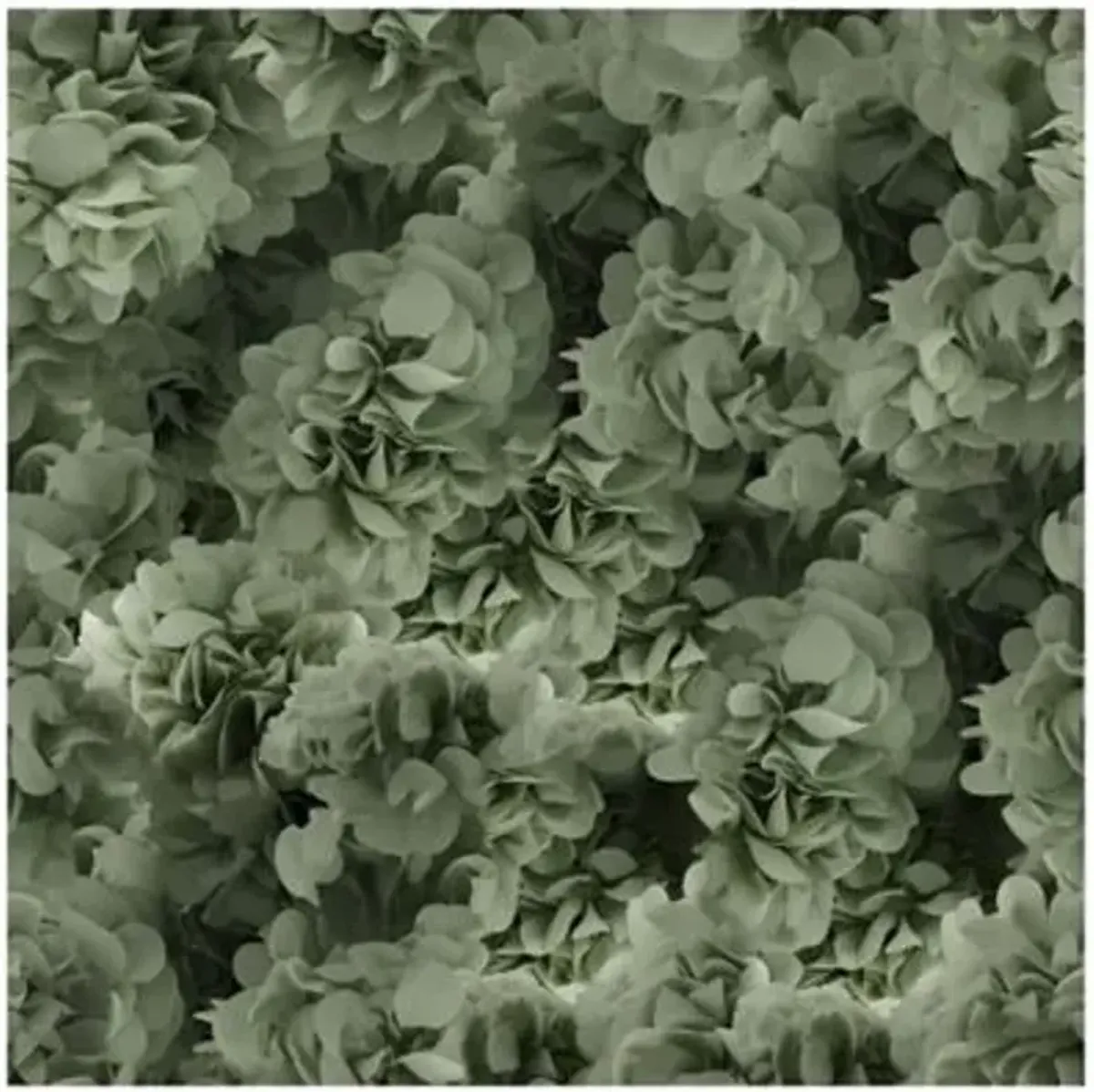 Hortensia Area Rug