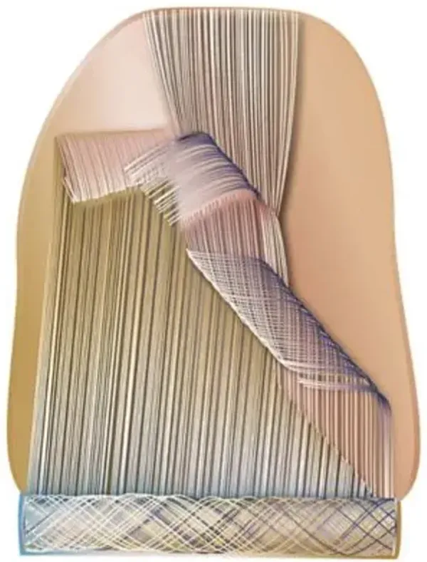 Un-Roll Area Rug