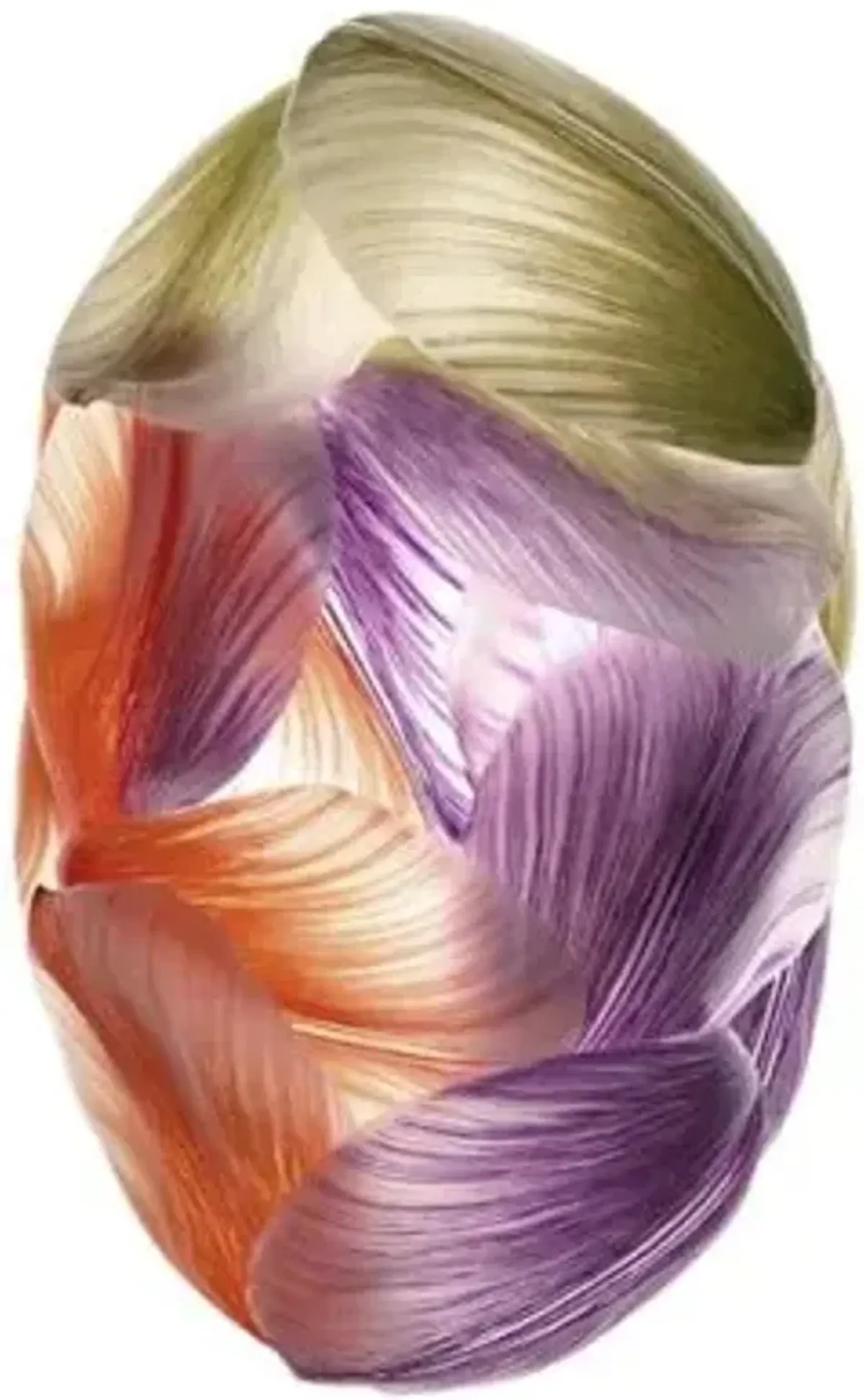 Tulip Mania Cocoon Oval Area Rug