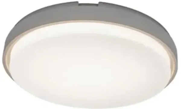 Zenith LED Flushmount
