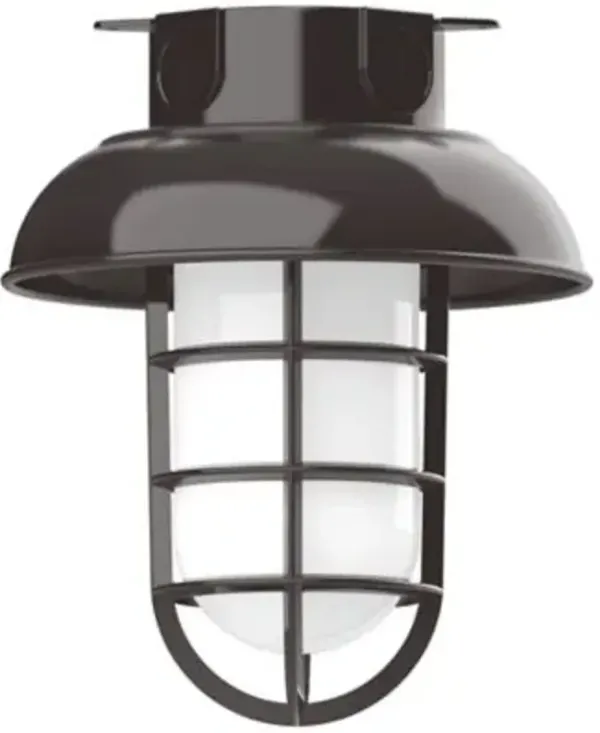 Alexia Outdoor Flushmount