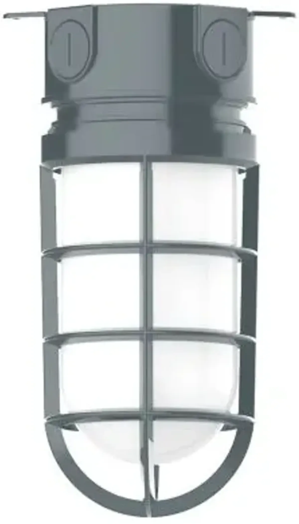 Alexia Outdoor Flushmount