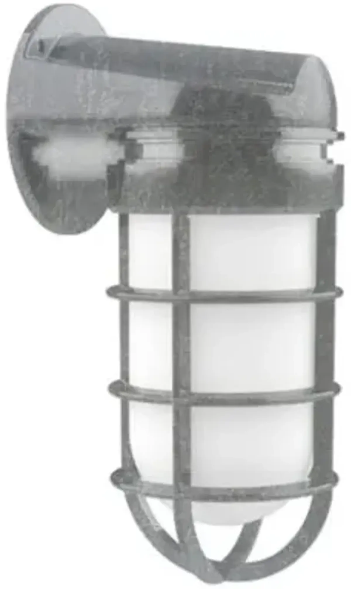 Alexia Outdoor Wall Sconce