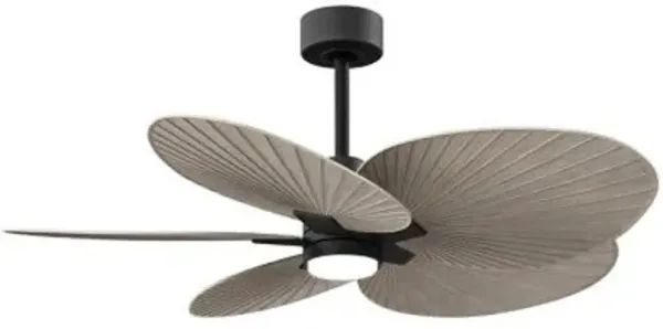 Alessandra Tropical 5 Blade LED Ceiling Fan