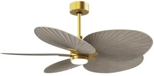 Alessandra Tropical 5 Blade LED Ceiling Fan