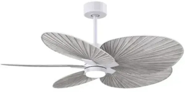 Alessandra Tropical 5 Blade LED Ceiling Fan