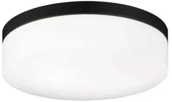 Bria Flush Mount Ceiling Light