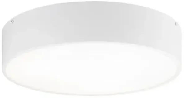 Alana Flush Mount Ceiling Light