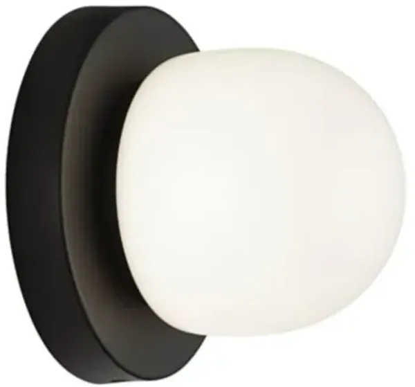 Danetta Wall / Ceiling Light
