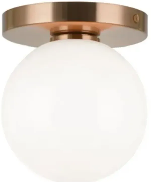 Astro Wall / Ceiling Light