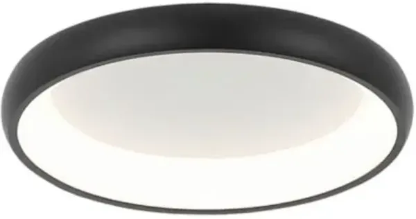 Philippine LED Flushmount