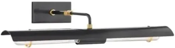 Raelynn Picture Light