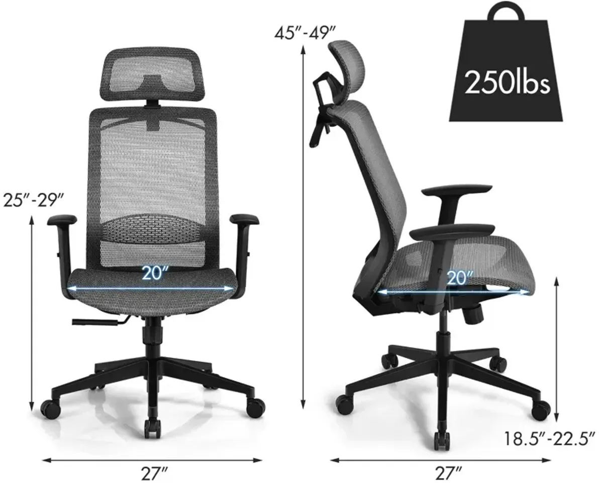 Height Adjustable Ergonomic High Back Mesh Office Chair with Hange