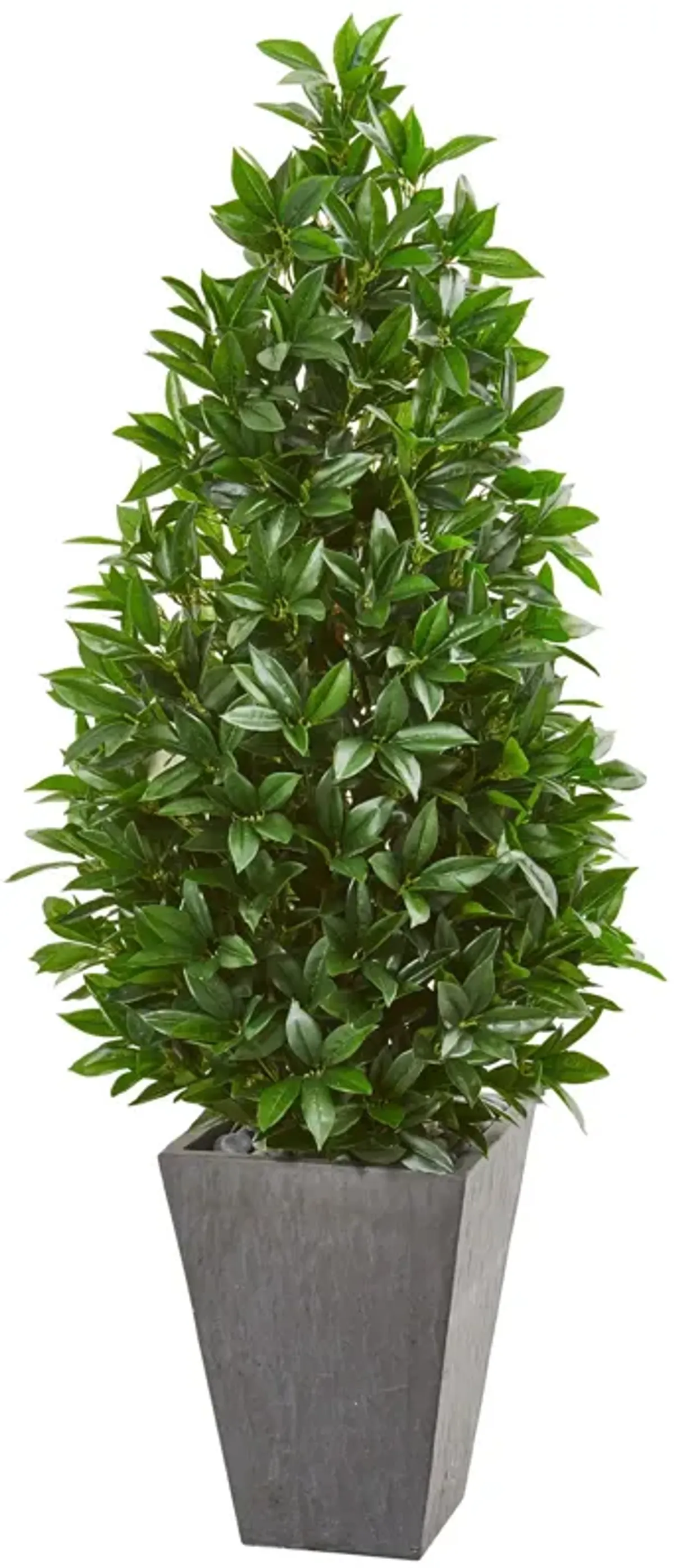 Hivvago 57 Inches Bay Leaf Cone Topiary Tree in Slate Planter UV Resistant (Indoor/Outdoor)