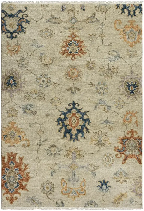 Envision ENV966 6' x 9' Rug