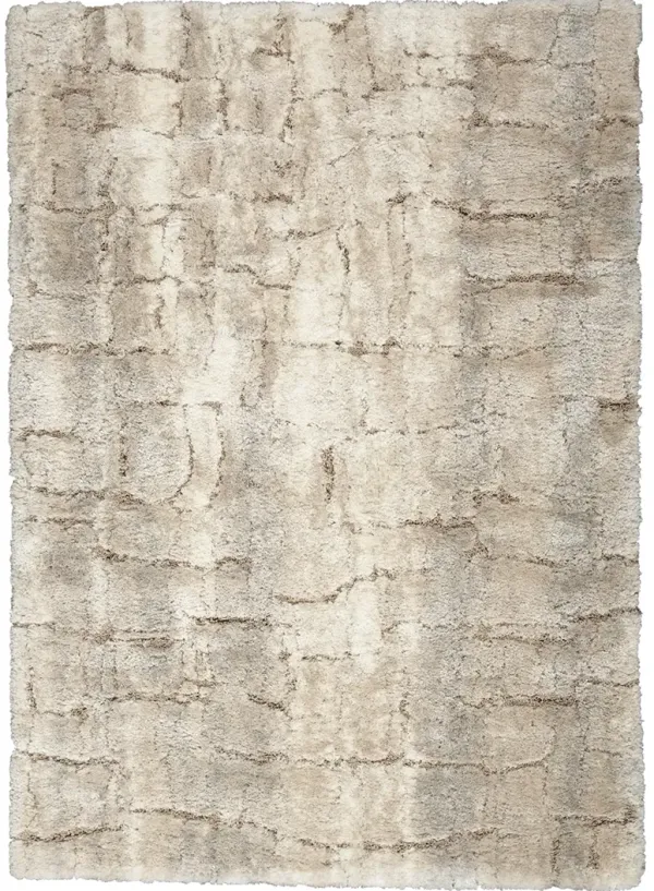 Dreamy Shag DRS09 Ivory/Beige 4' x 6' Rug