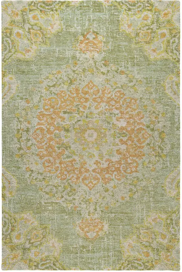 Tabrook TB11 Aloe 30" x 46" Rug