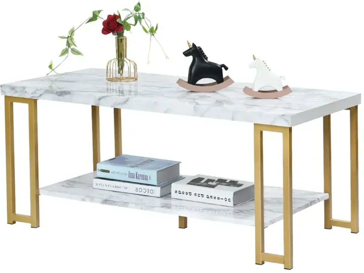 2-Tier Rectangular Modern Coffee Table with Gold Print Metal Frame