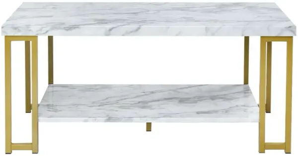 2-Tier Rectangular Modern Coffee Table with Gold Print Metal Frame