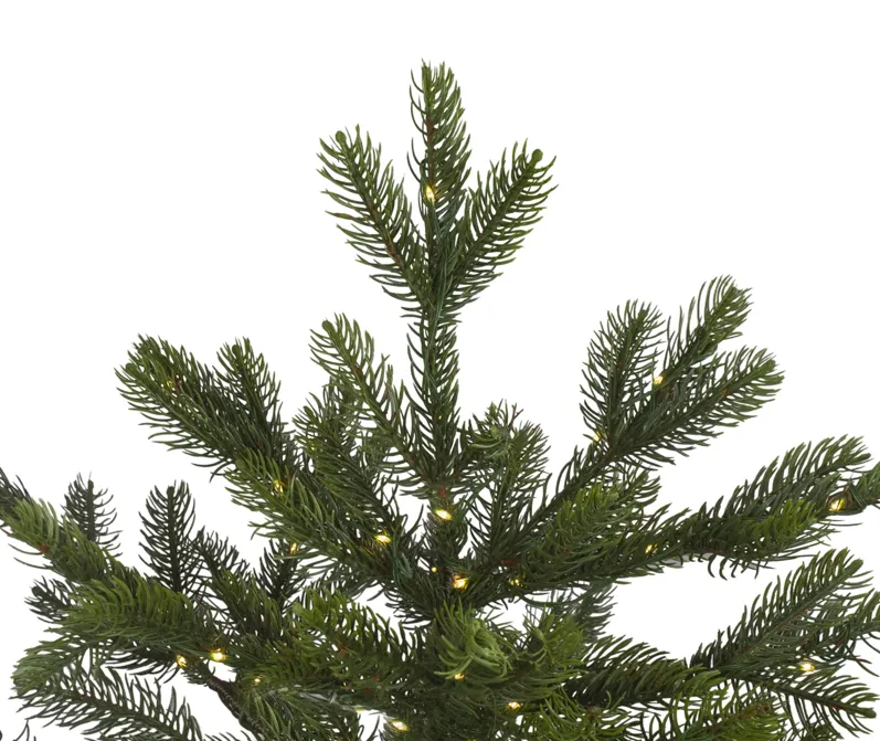 7.5' Pre-Lit Full Oregon Noble Fir Artificial Christmas Tree - Warm White LED Lights