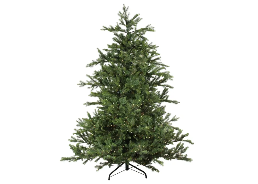 7.5' Pre-Lit Full Oregon Noble Fir Artificial Christmas Tree - Warm White LED Lights