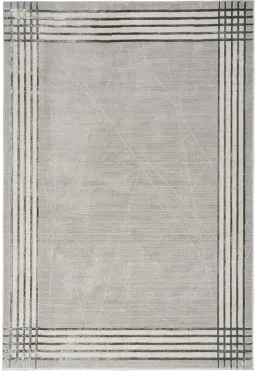 Gray Silver color