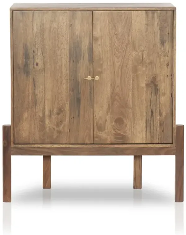 Reza Bar Cabinet