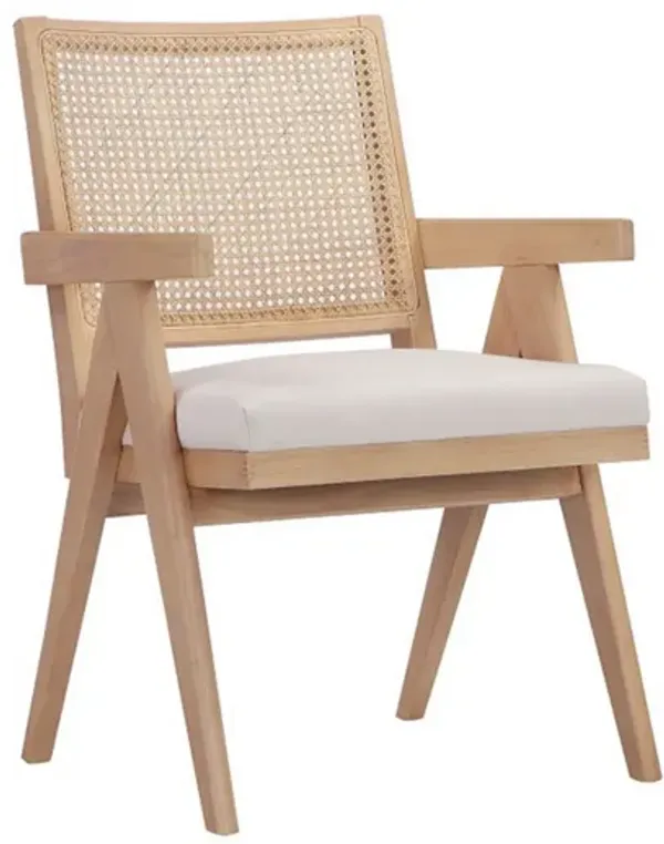 Isha 24 Inch Armchair with Cane Back, Off White Velvet, Brown Wood Frame - Benzara