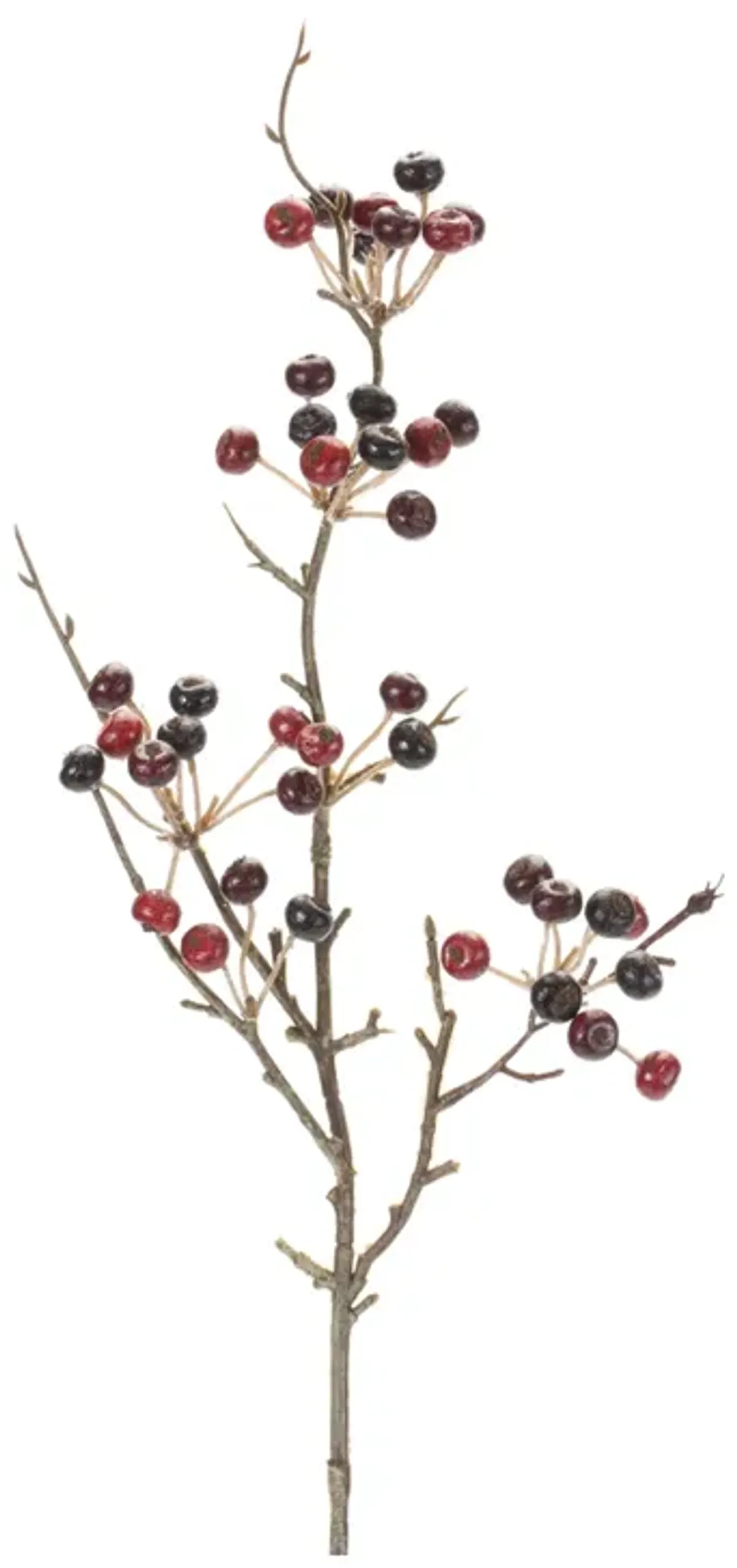 Variegated Berry Pod Spray (Set of 12)