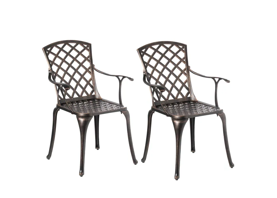 Indoor and Outdoor Bronze Dinning Set 2 Chairs Cast Aluminum