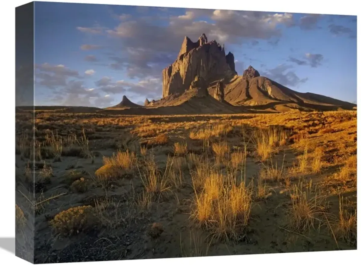 Shiprock, the basalt core of an extinct volcano, New Mexico-Canvas Art-16x12