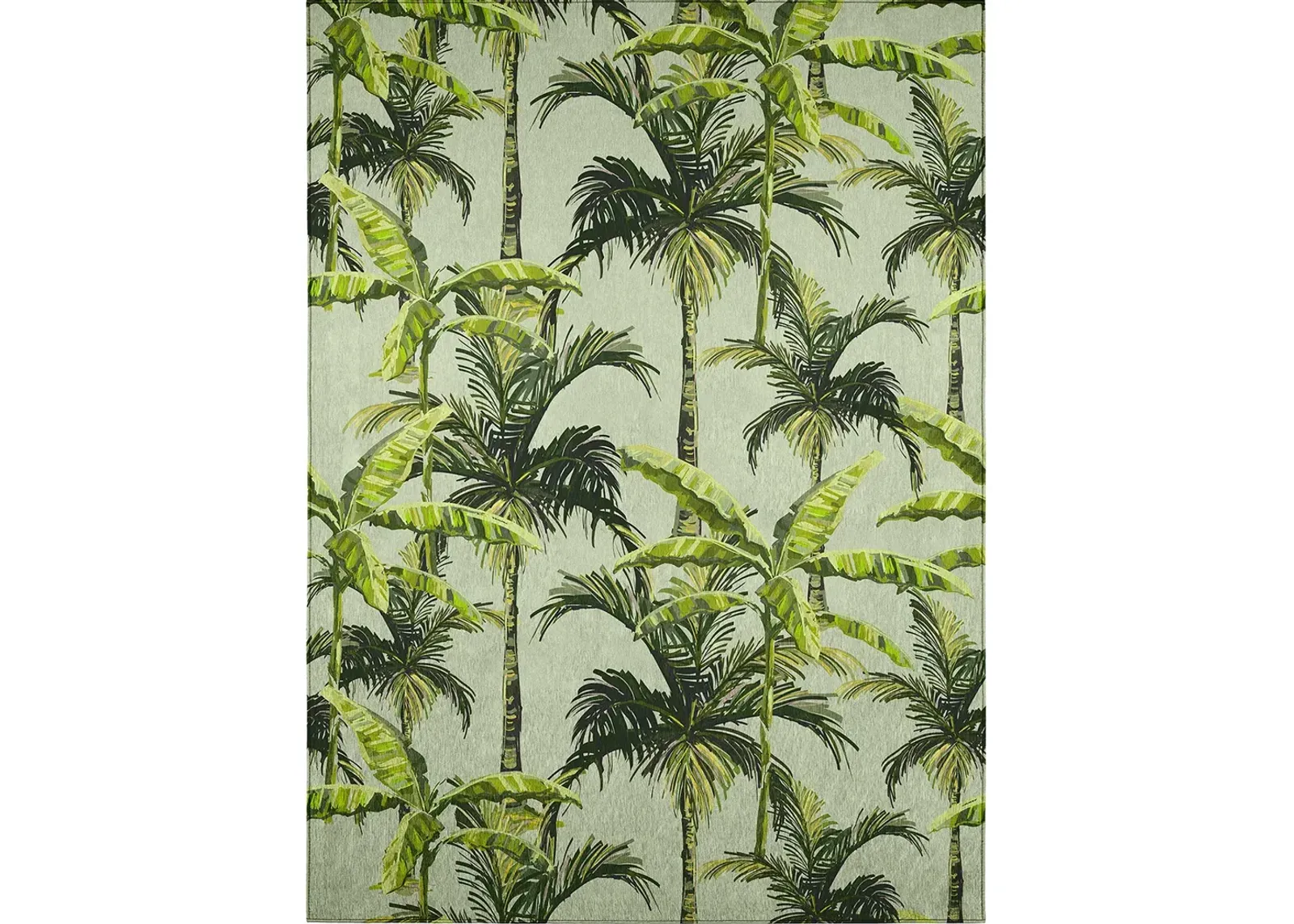 Tropics TC10 Aloe 5' x 7'6" Rug