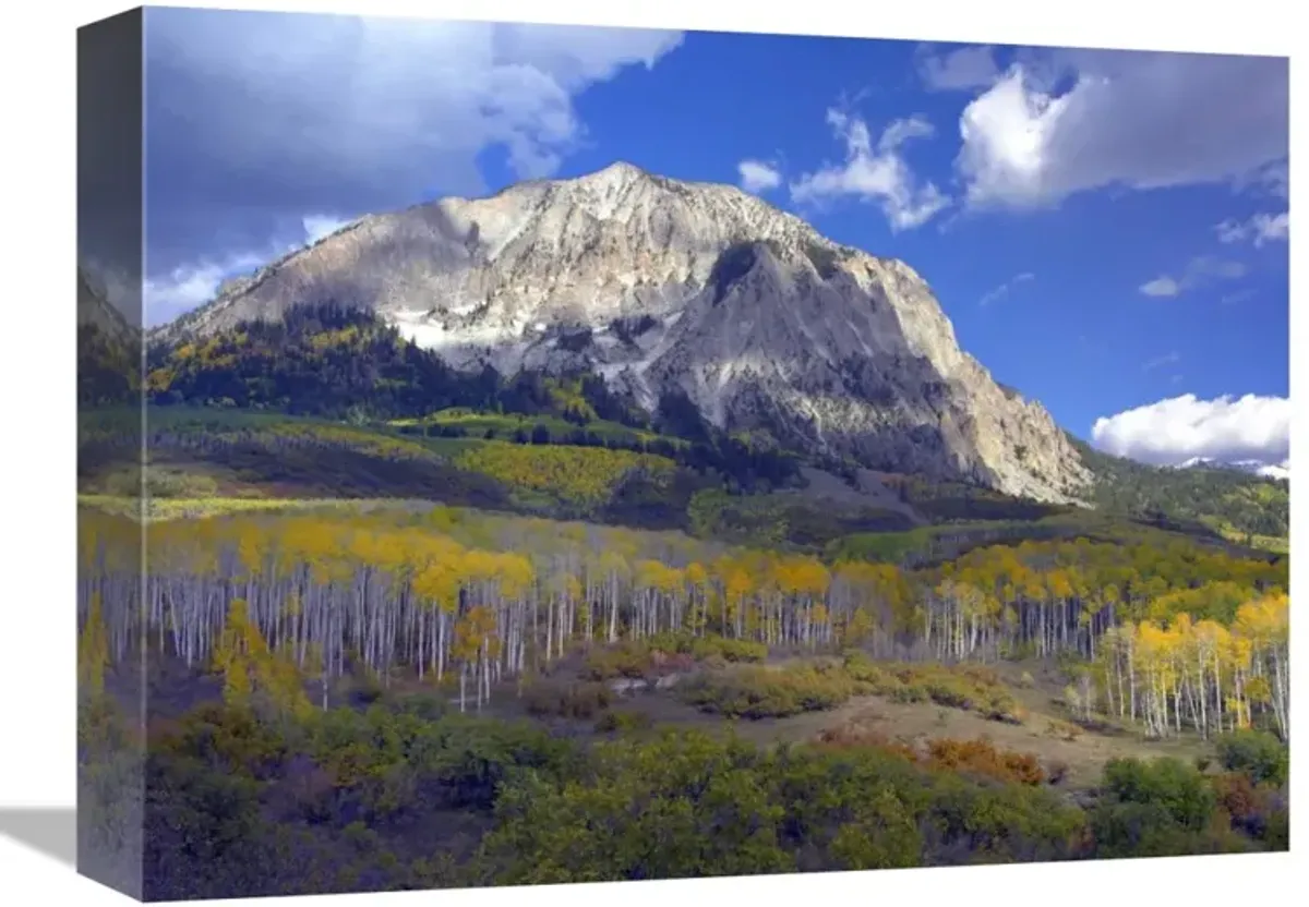 Fall colors at Gunnison National Forest, Colorado-Canvas Art-16x12