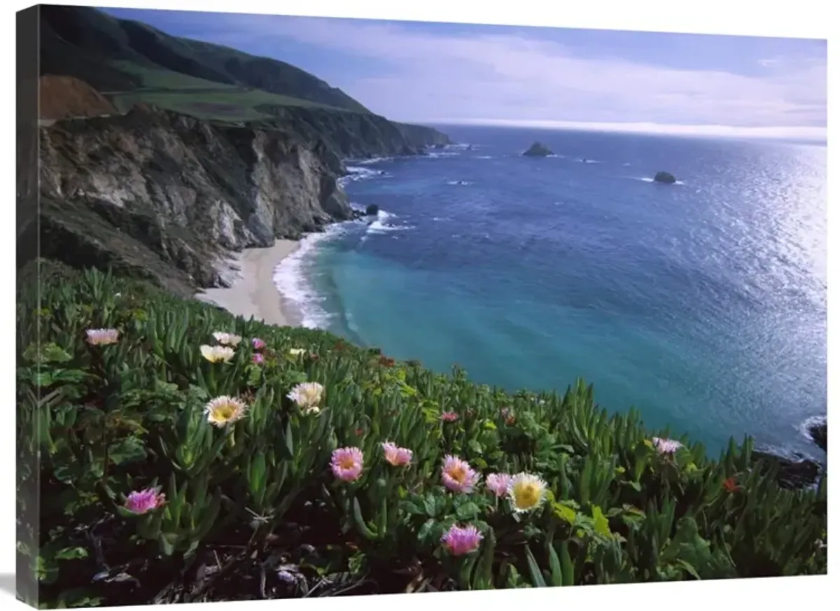 Ice Plant or Hottentot Fig Big Sur coast near Bixby Creek, California-Canvas Art-32x24