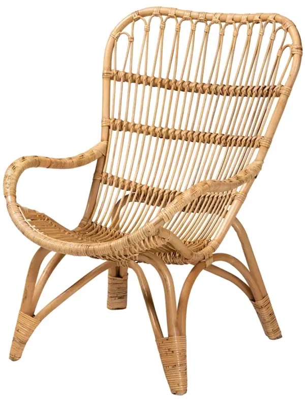 Bali & Pari Earvin Modern Bohemian Natural Brown Rattan Armchair