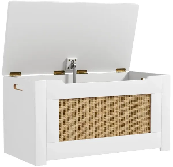 Child-Safe Rattan Toy Organizer Chest with Flip Lid and Built-in Handles