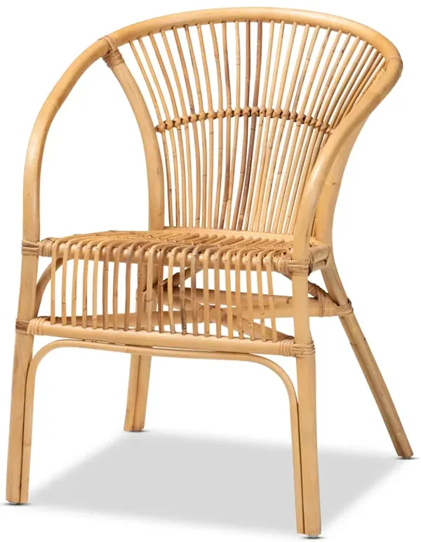 Baxton Studio Murai Modern Bohemian Natural Brown Rattan Dining Chair