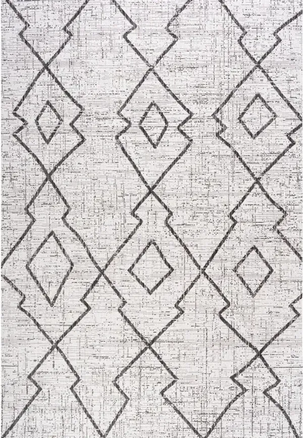 Carwa Tribal Diamond Trellis Indoor/Outdoor Area Rug