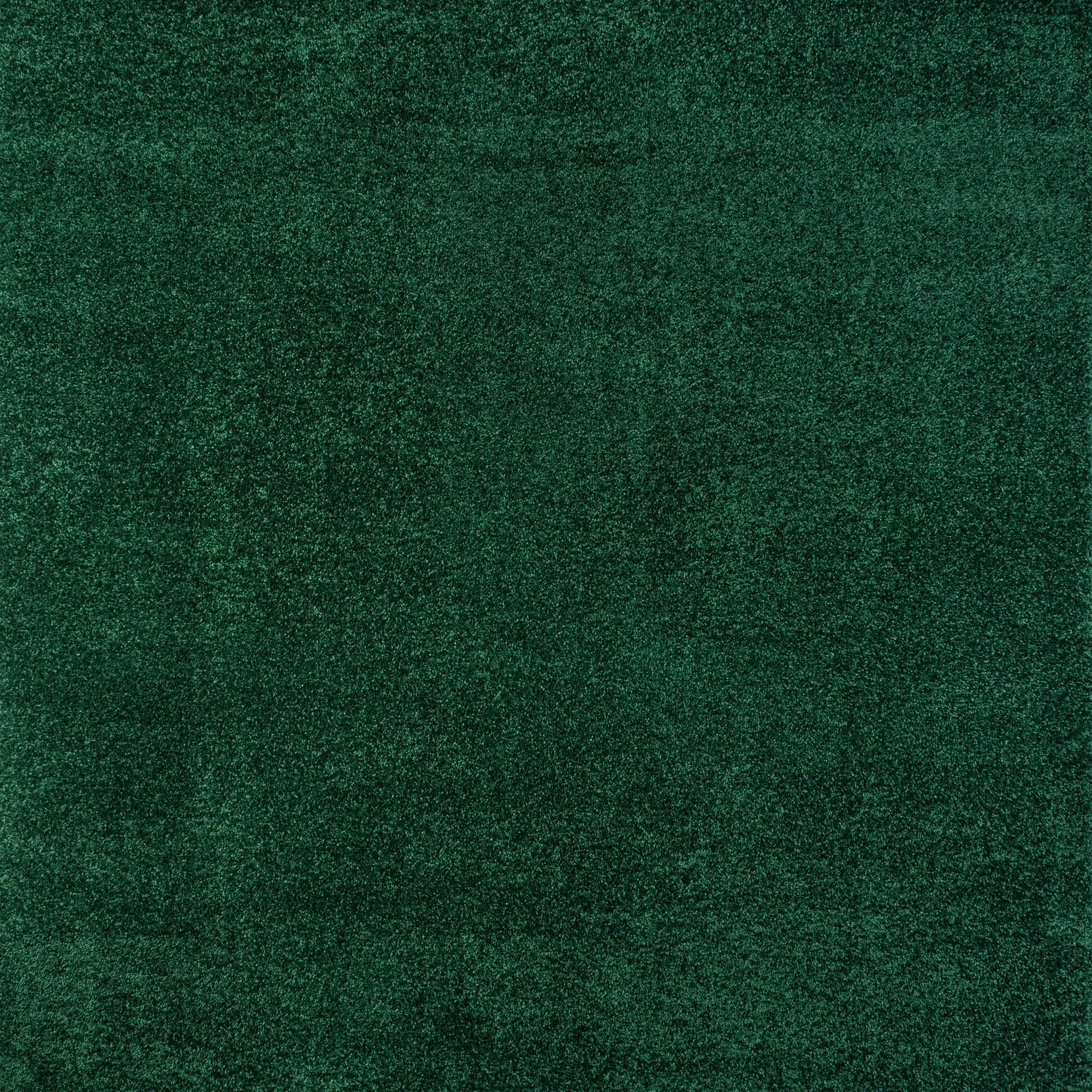 Haze Solid Low-Pile Area Rug