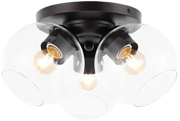 Iris Farmhouse Rustic Iron/Glass LED Semi Flush Mount