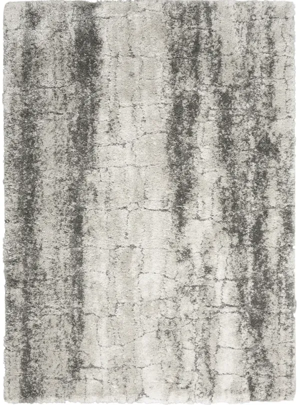 Dreamy Shag DRS01 Ivory/Charcoal 4' x 6' Rug