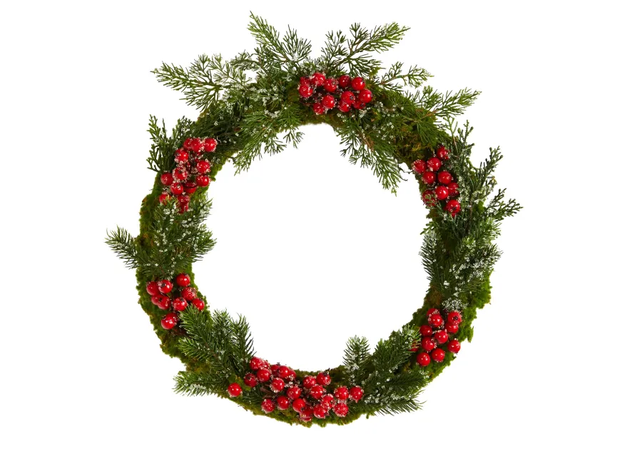 HomPlanti 20" Iced Pine and Berries Artificial Christmas Wreath