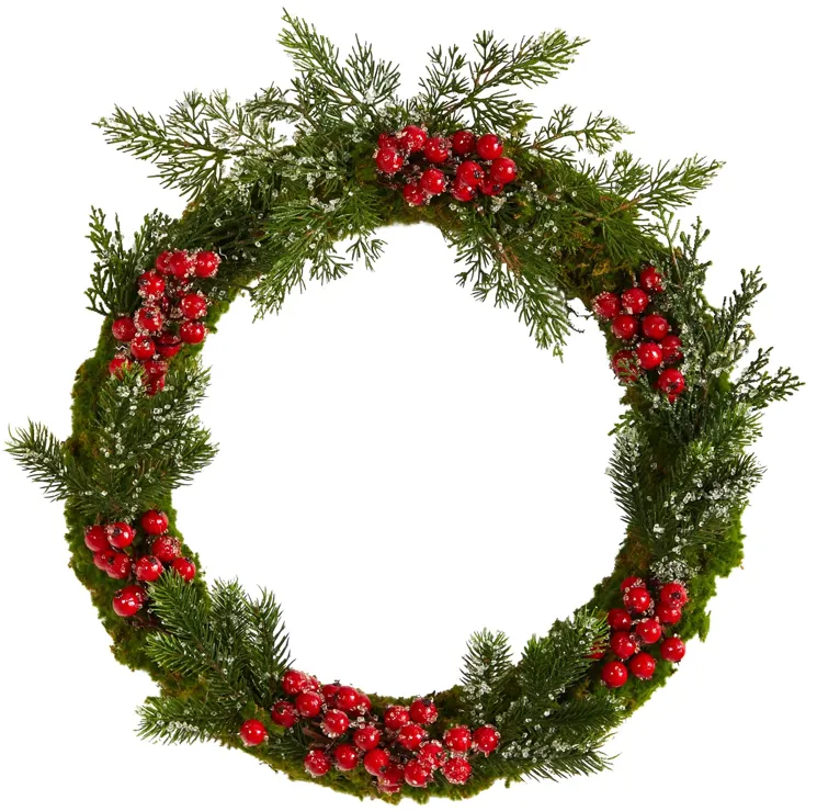 HomPlanti 20" Iced Pine and Berries Artificial Christmas Wreath