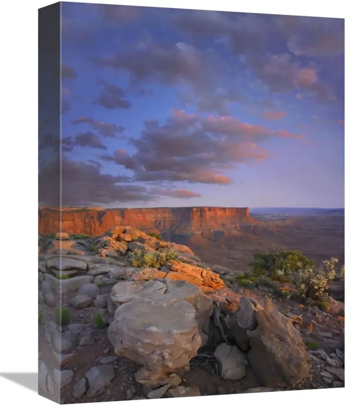 View from the Green River Overlook, Canyonlands National Park, Utah-Canvas Art-12x16