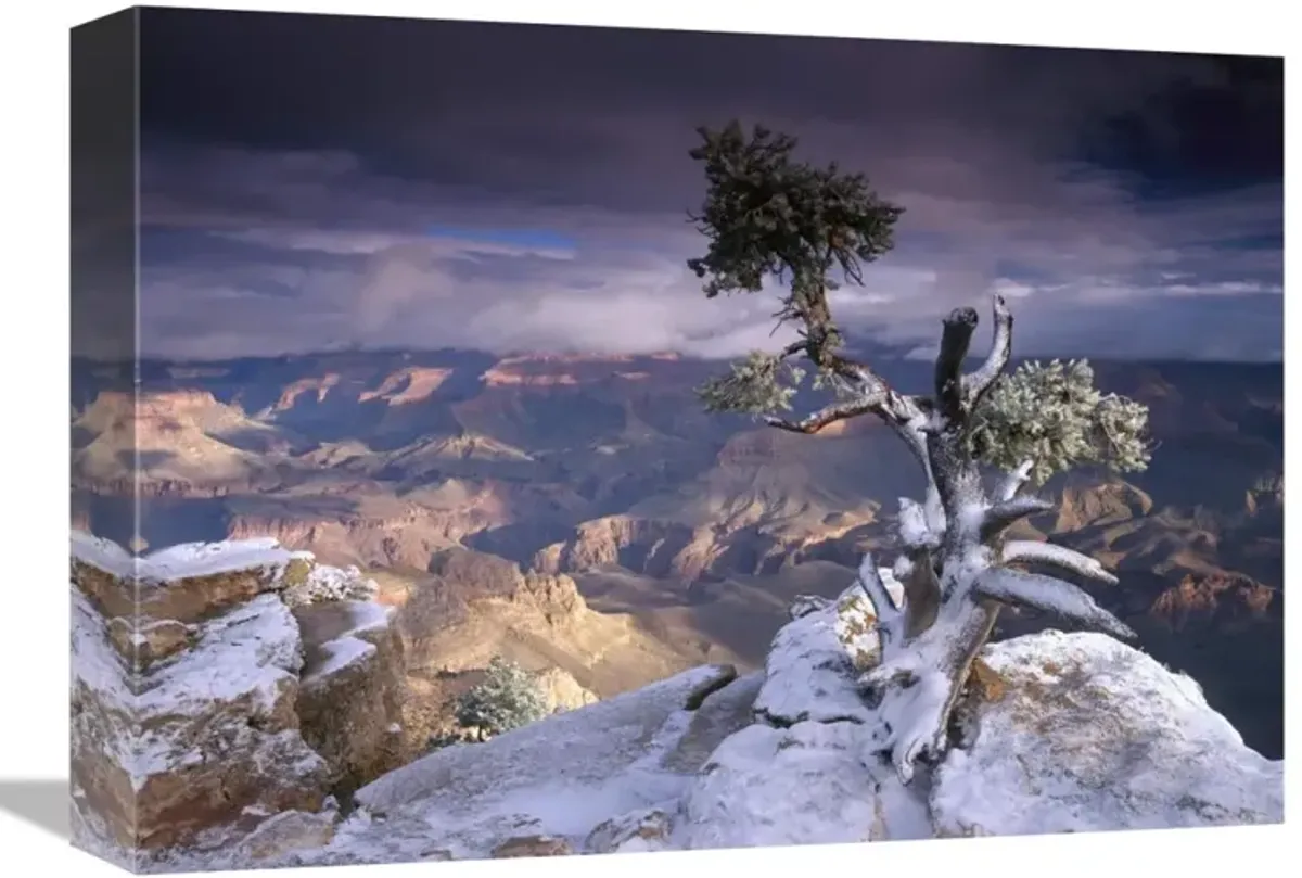 South Rim of Grand Canyon with a dusting of snow seen from Yaki Point, Grand Canyon National Park, Arizona-Canvas Art-16x12