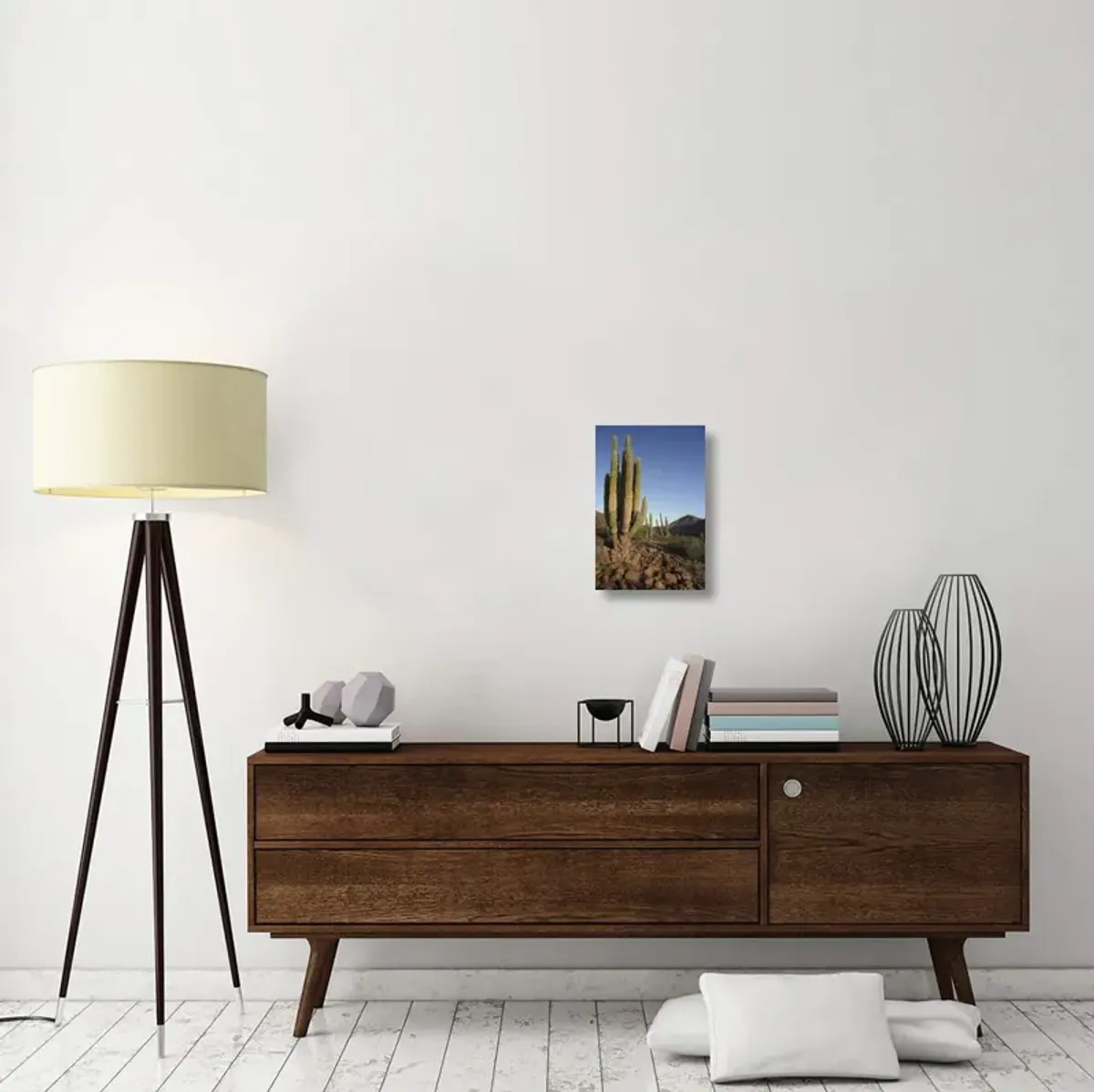 Cardon Cacti in dry arroyo, Sea of Cortez, Baja California, Mexico-Canvas Art-12x18